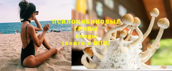 трава Армянск