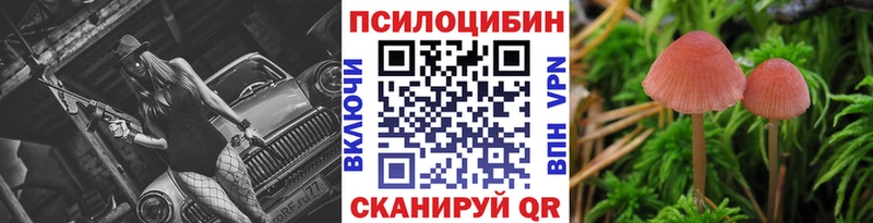 Галлюциногенные грибы мицелий  Купить  Сычёвка 